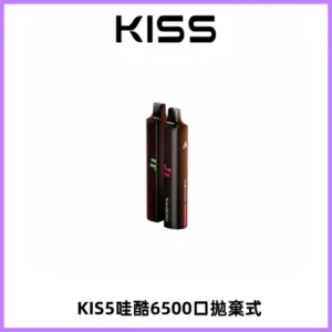 KIS5WAGOO哇酷6500口拋棄式 | 自由混搭雙口味 | 雙芯組合